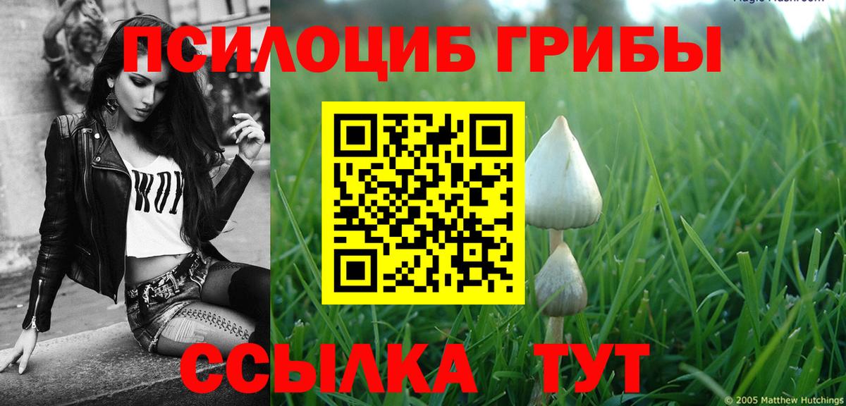 Псилоцибиновые грибы Magic Shrooms Ханты-Мансийск